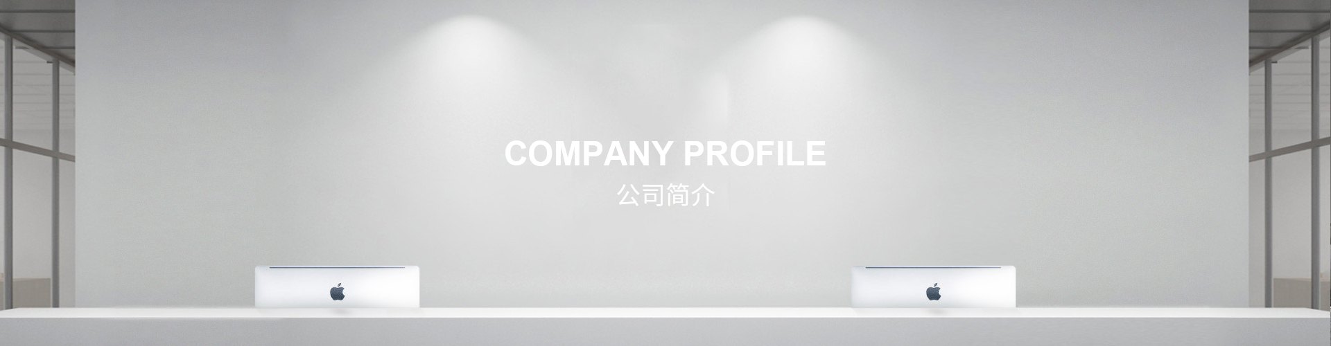 公司介绍